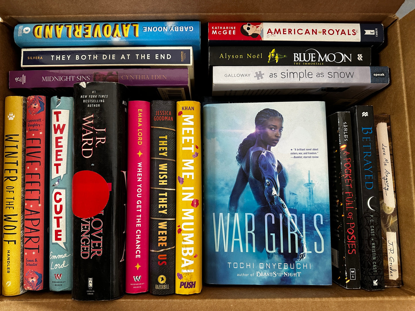 YA and Teen Mixed Book Box (ages 13+)