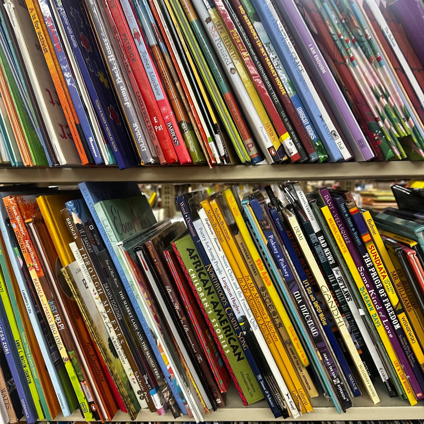 Diversity Children's Books