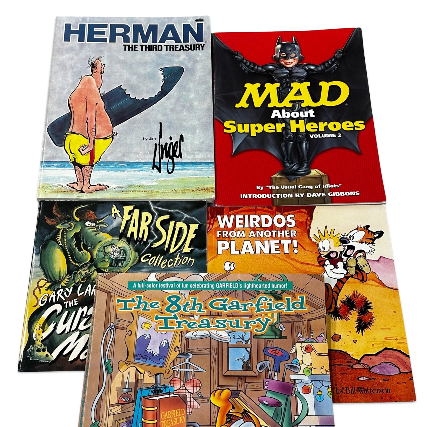 Adult Sunday Comic books bundle