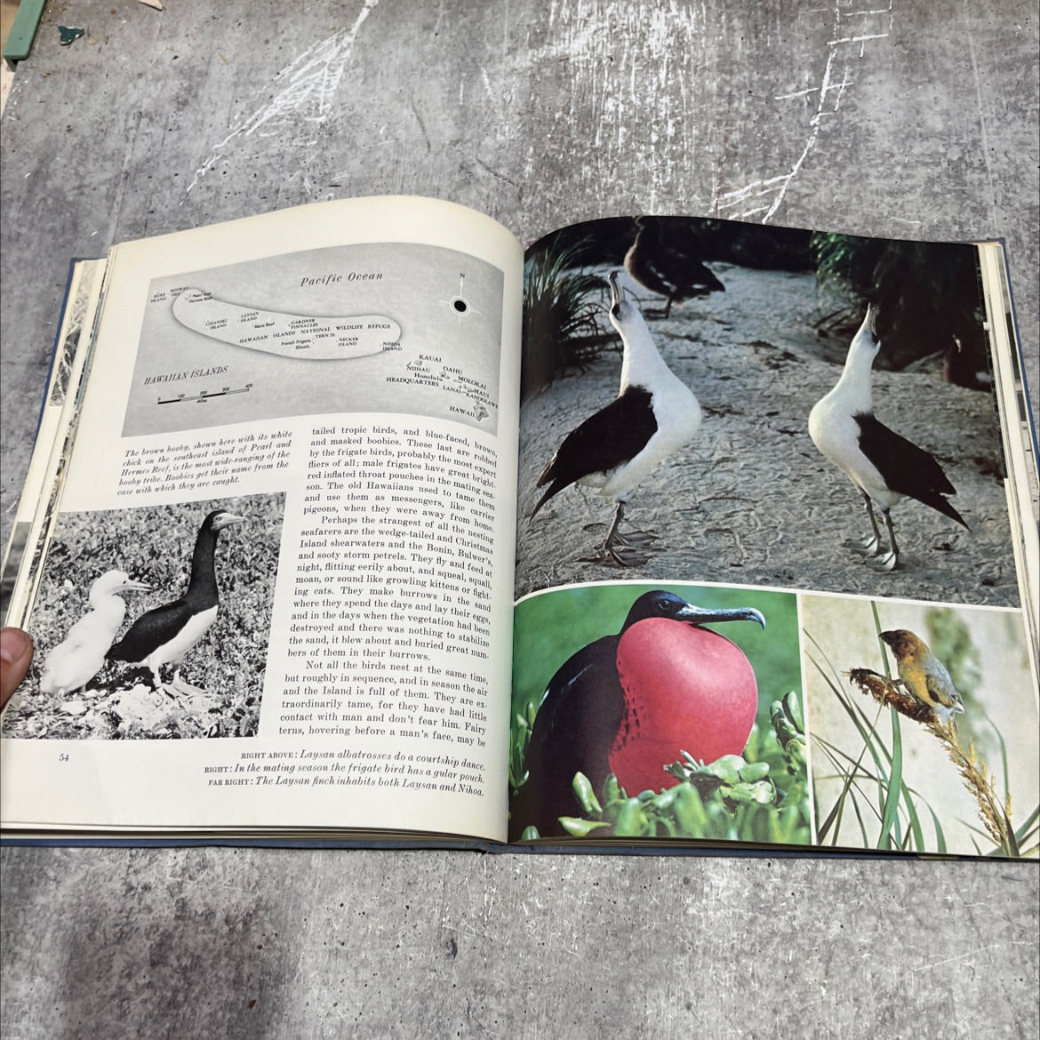 a heritage restored book, by robert murphy, 1969 Hardcover image 4