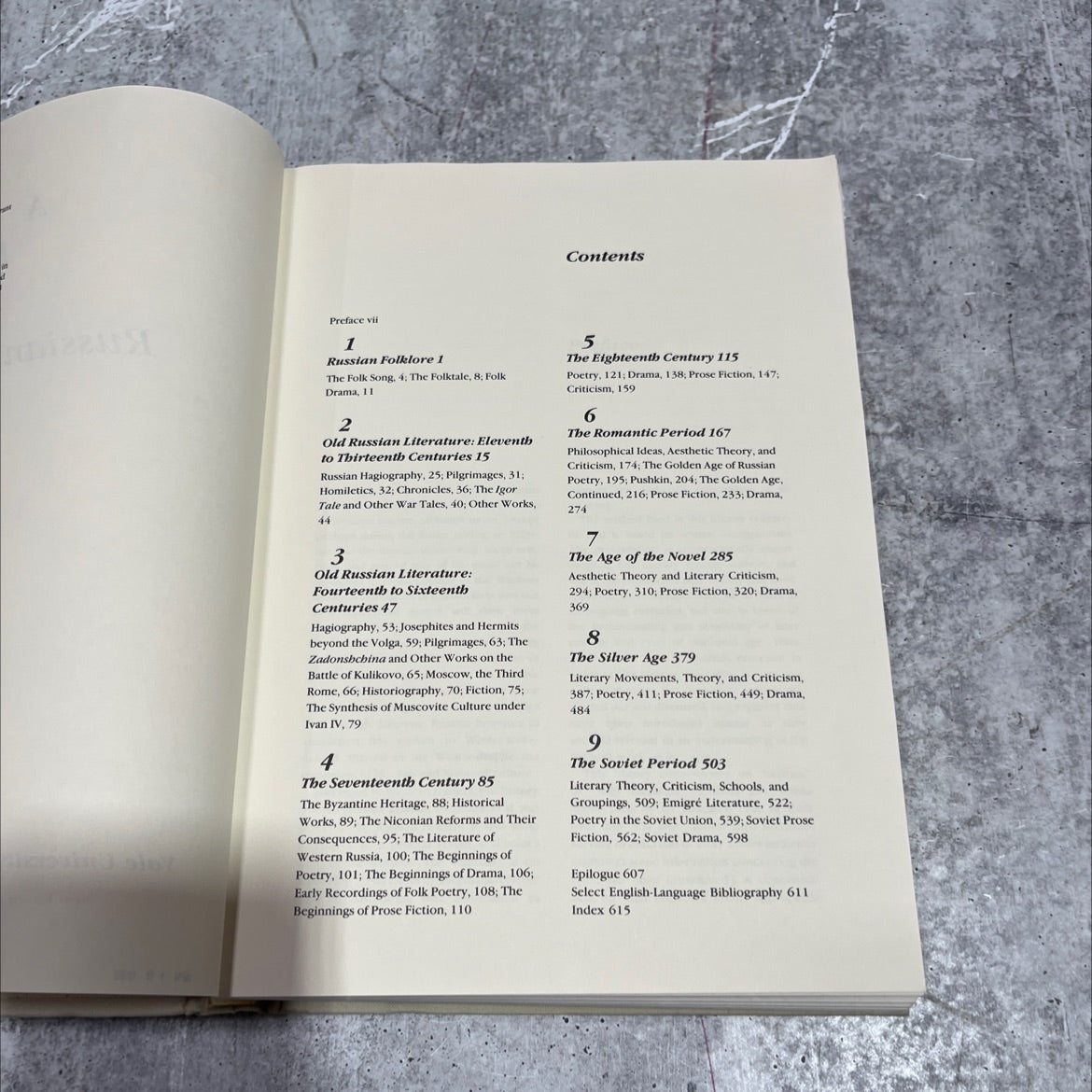 a history of russian literature book, by Victor Terras, 1991 Hardcover image 4