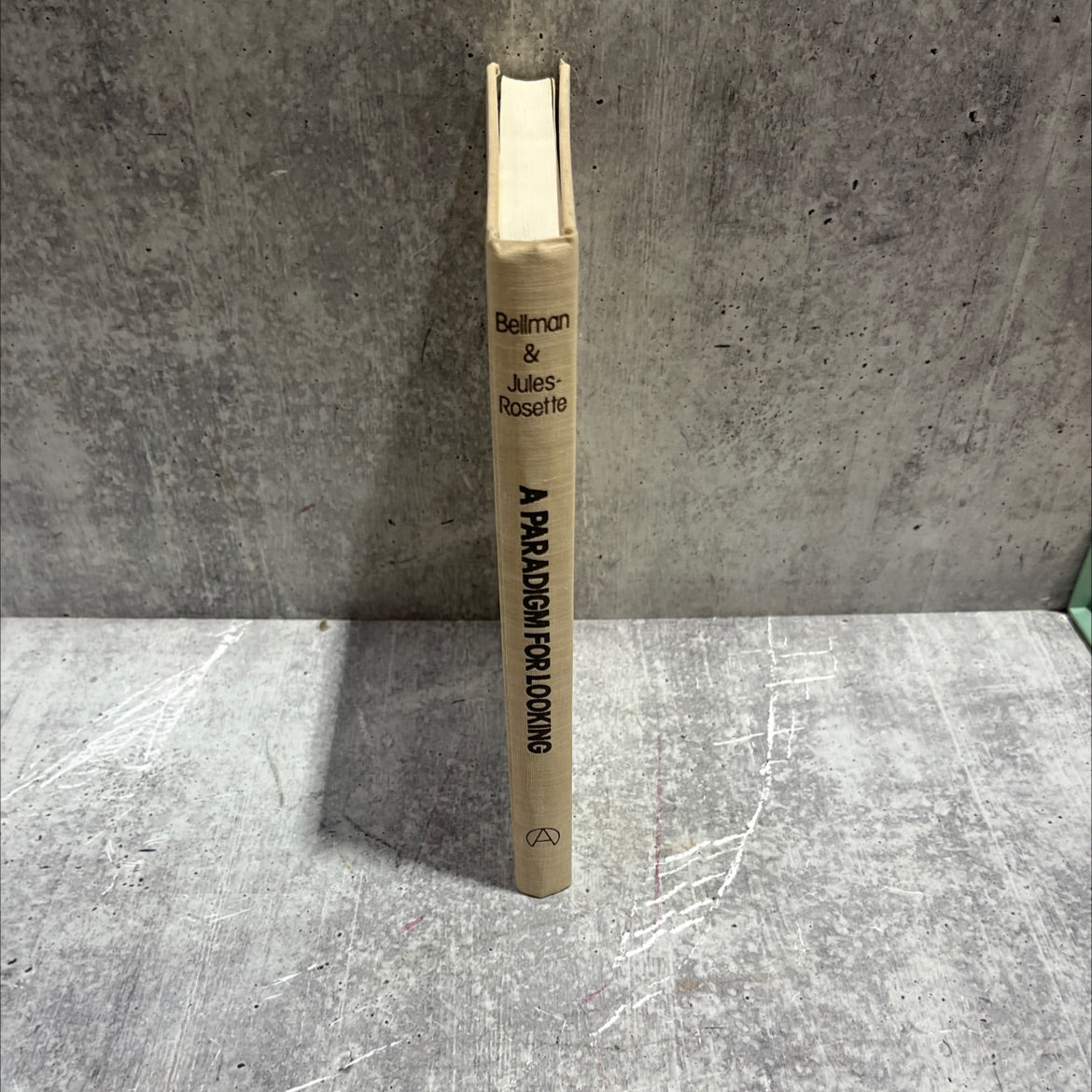 a paradigm for looking: cross-cultural research with visual media book, by Beryl L. Bellman, Bennetta Jules-Rosette, image 4