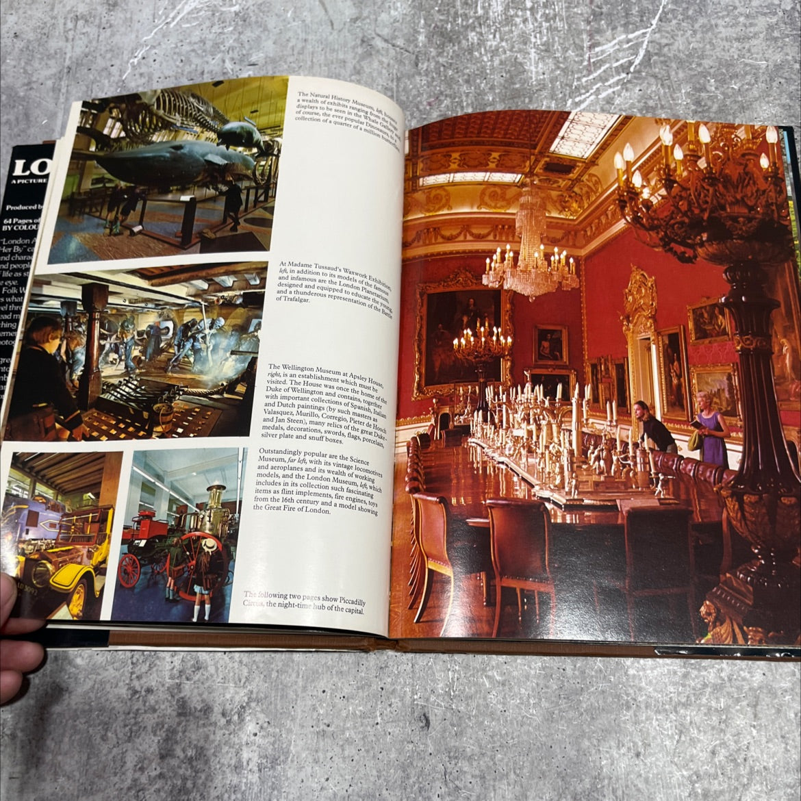 a picture book to remember her by book, by David Gibbon, 1978 Hardcover image 4