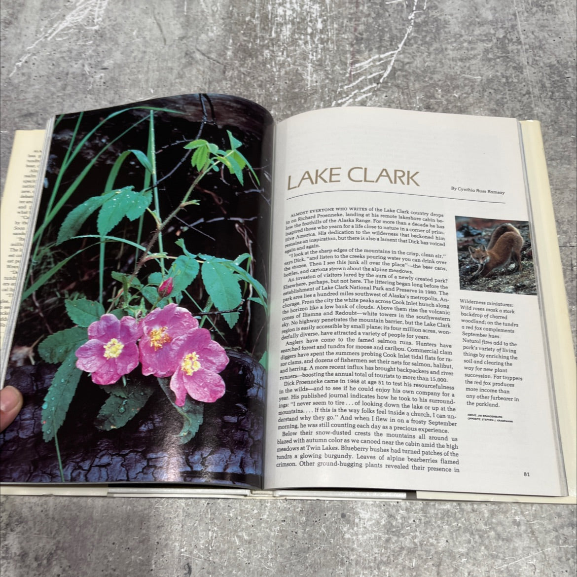 alaska's magnificent parklands book, by tom melham, margaret e. murie, cynthia russ ramsay, james a. sugar, 1984 image 4