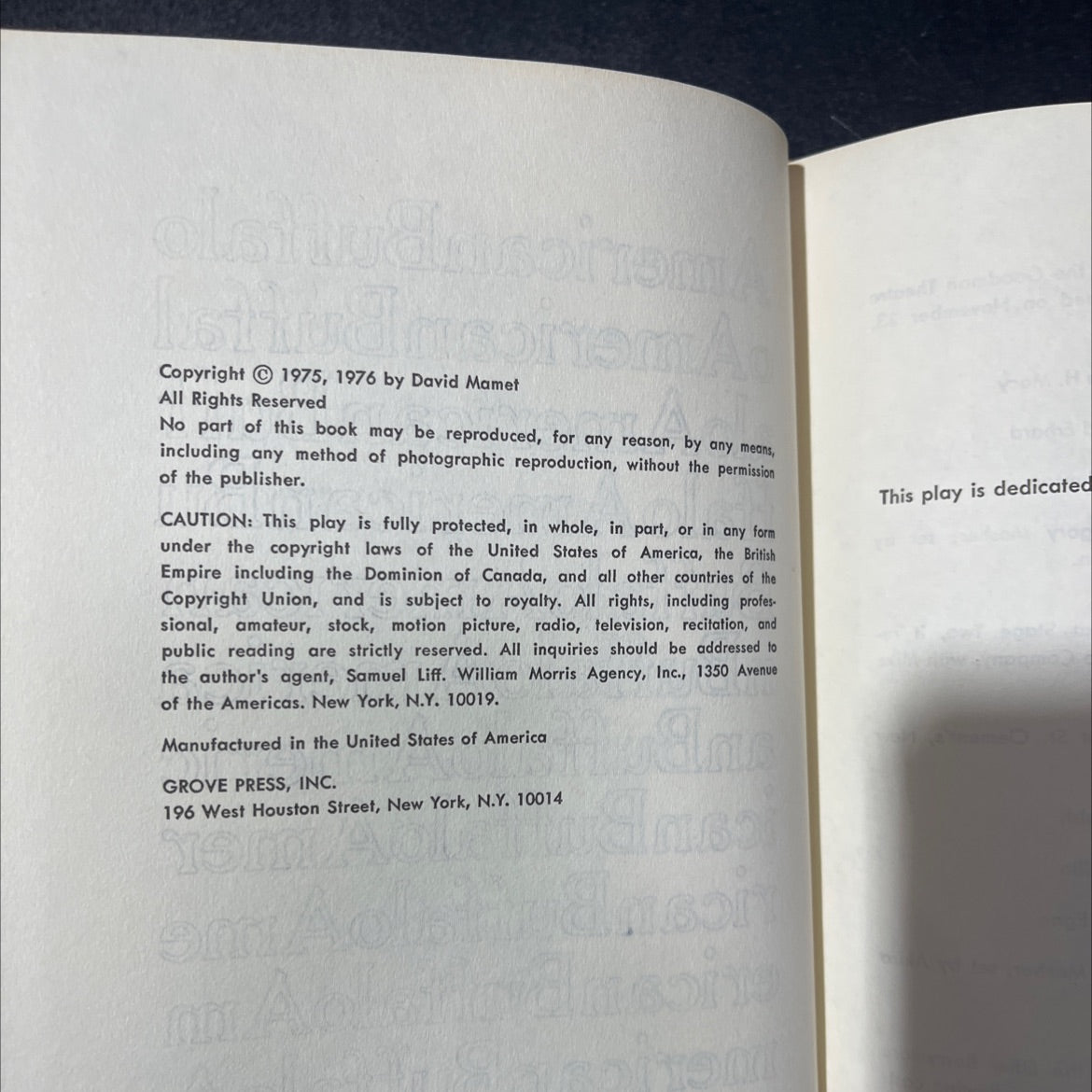 american buffalo book, by David Mamet, 1976 Hardcover, Vintage image 3