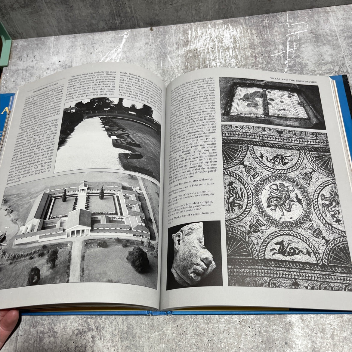 archaeology of ancient rome book, by anthony king, 1985 Hardcover image 4