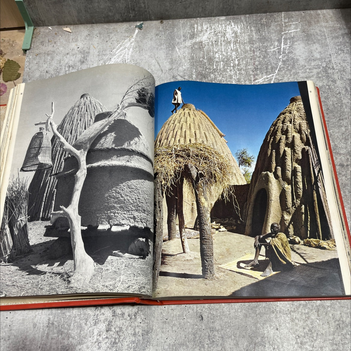 arica book, by emil schulthess, 1959 Hardcover image 4