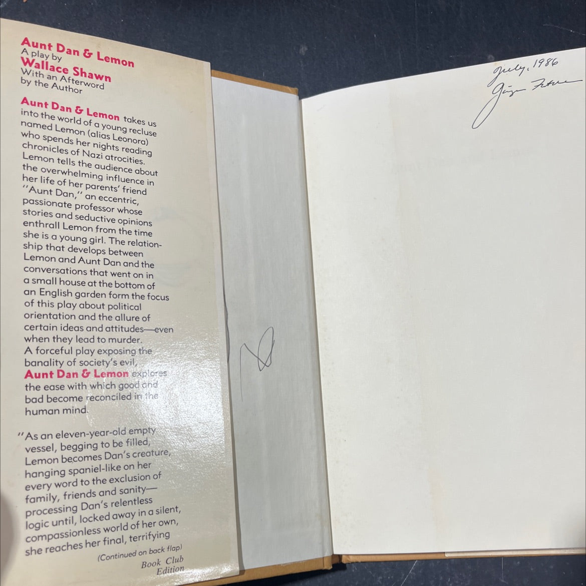 aunt dane tomatoes book, by wallace shawn, 1985 Hardcover image 4