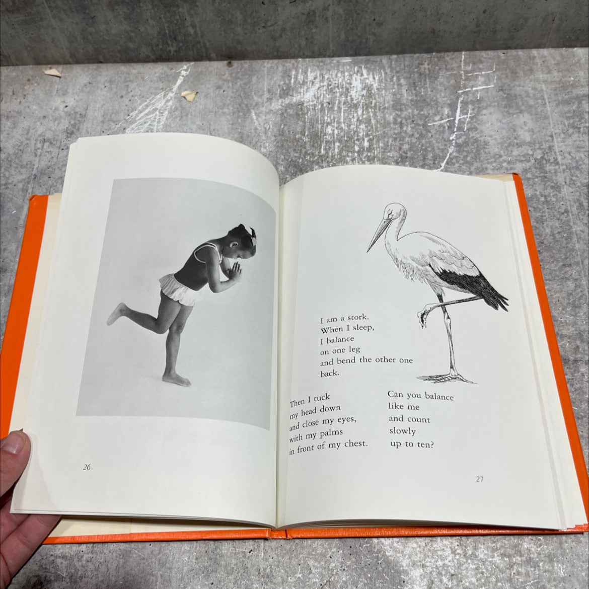 be a frog, a bird, or a tree book, by rachel carr, 1973 Hardcover image 4