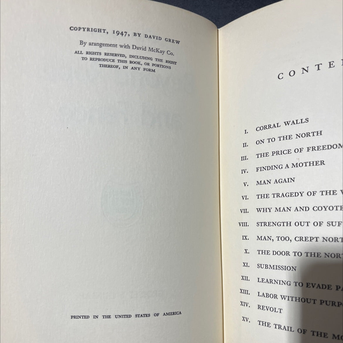 beyond rope and fence book, by david grew, 1947 Hardcover image 3