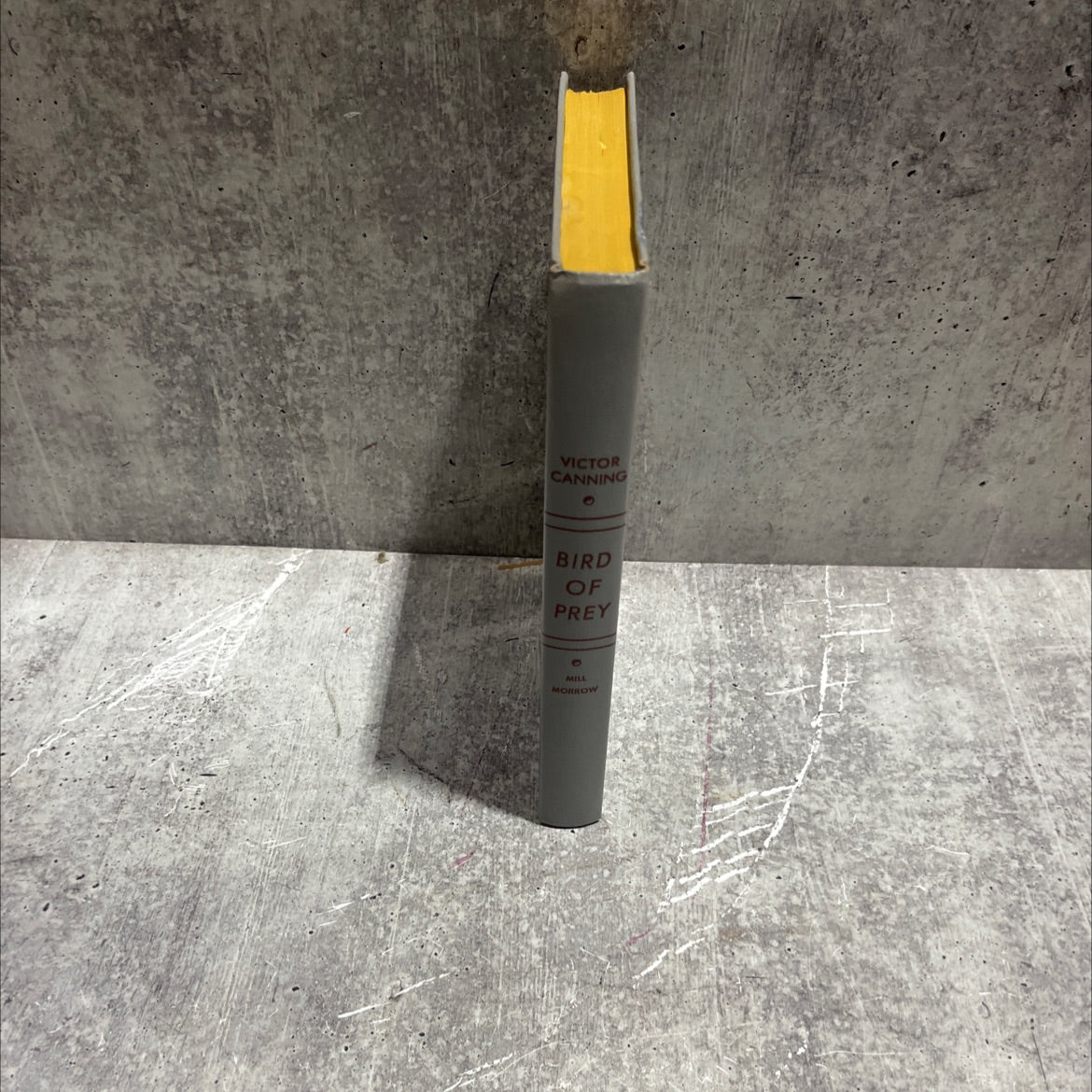 bird of prey book, by Victor Canning, 1950 Hardcover image 4