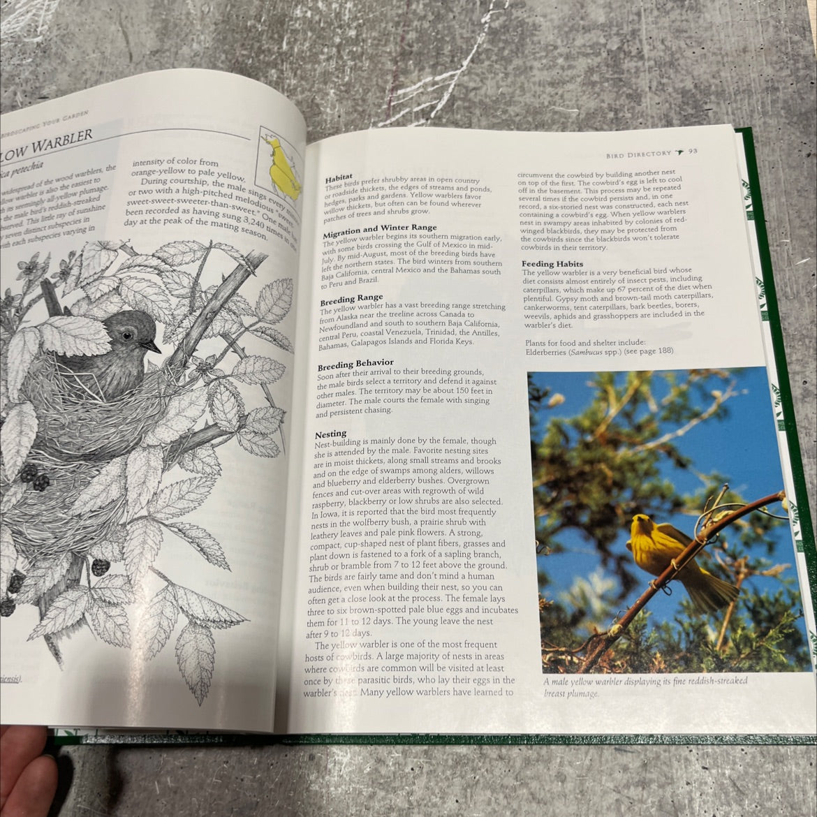 birdscaping your garden a practical guide to backyard birds and the plants that attract them book, by george adams, image 4