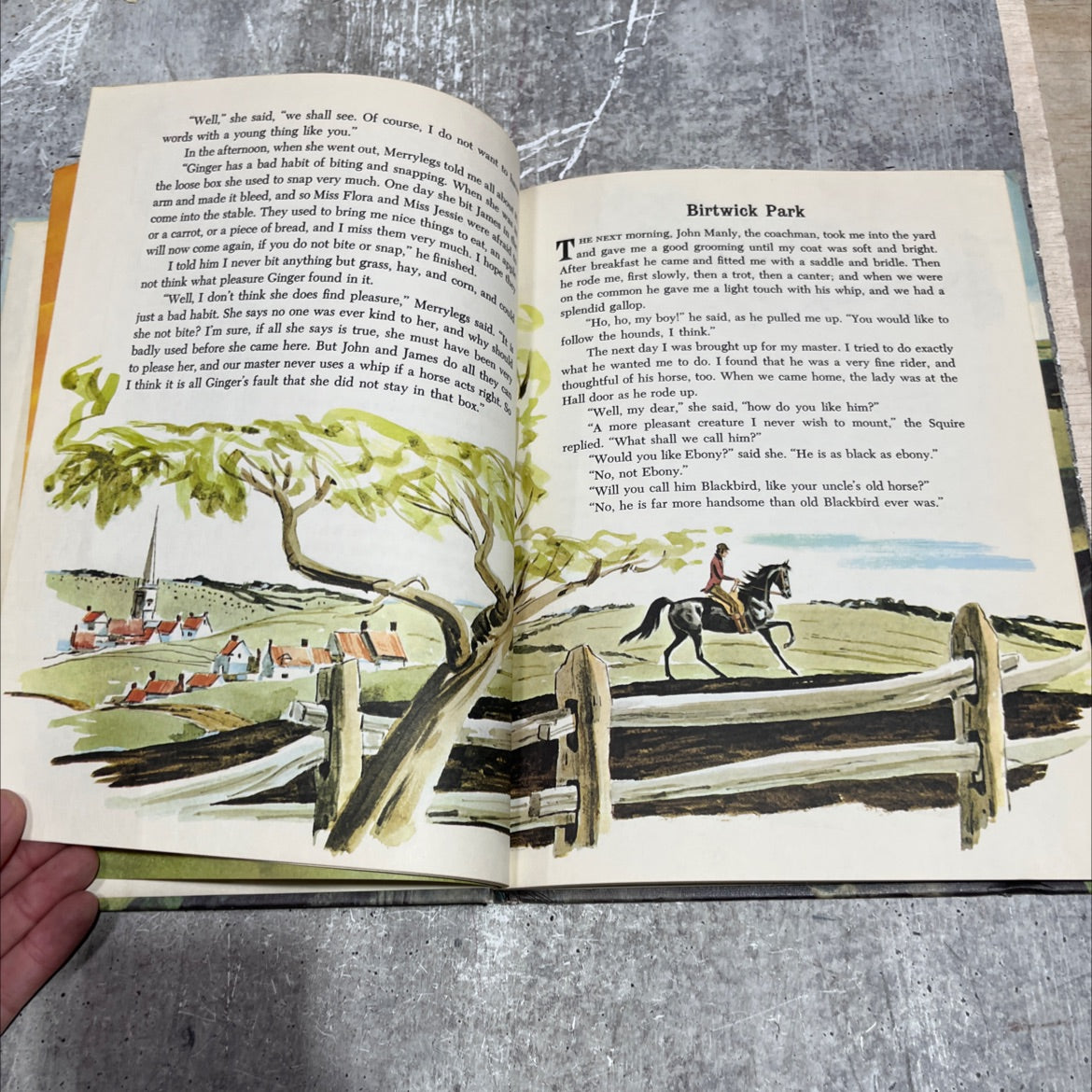 black beauty book, by anna sewell, 1974 Hardcover image 4