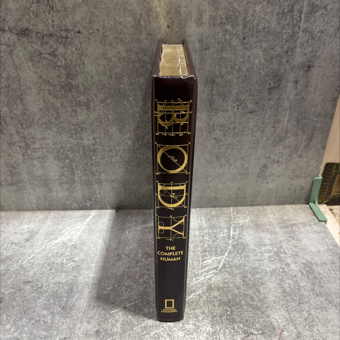 body: the complete human book, by Patricia Daniels, 2007 Leather image 4