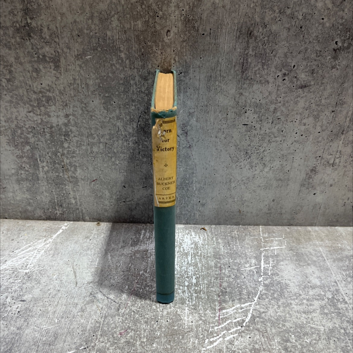 born for victory book, by albert buckner coe, 1936 Hardcover image 4