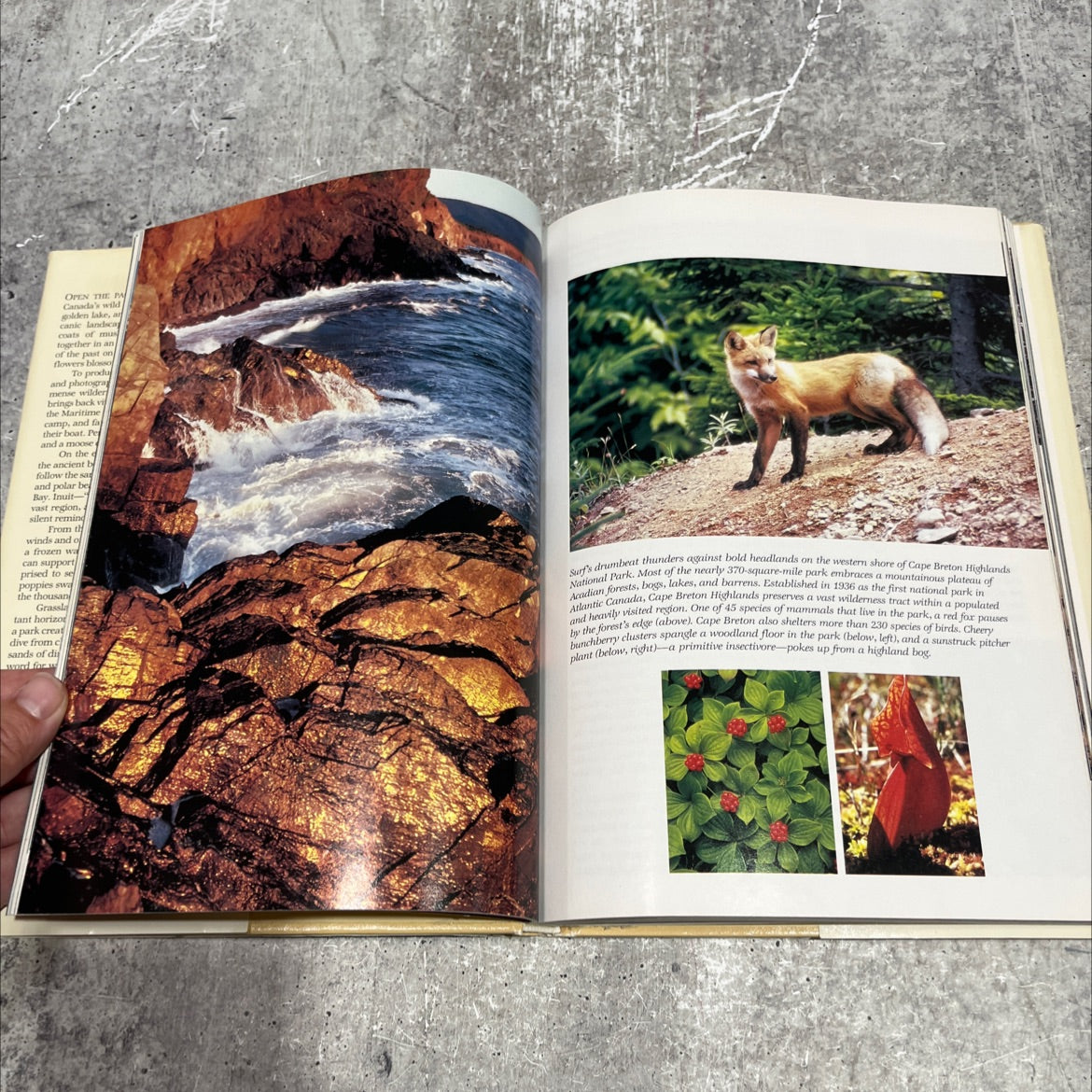 canada's wilderness lands book, by unknown, 1970 Hardcover image 4