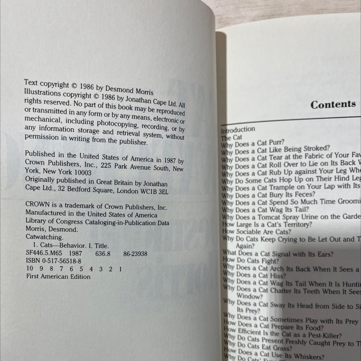 catwatching book, by Desmond Morris, 1987 Hardcover, First Edition, Vintage image 3