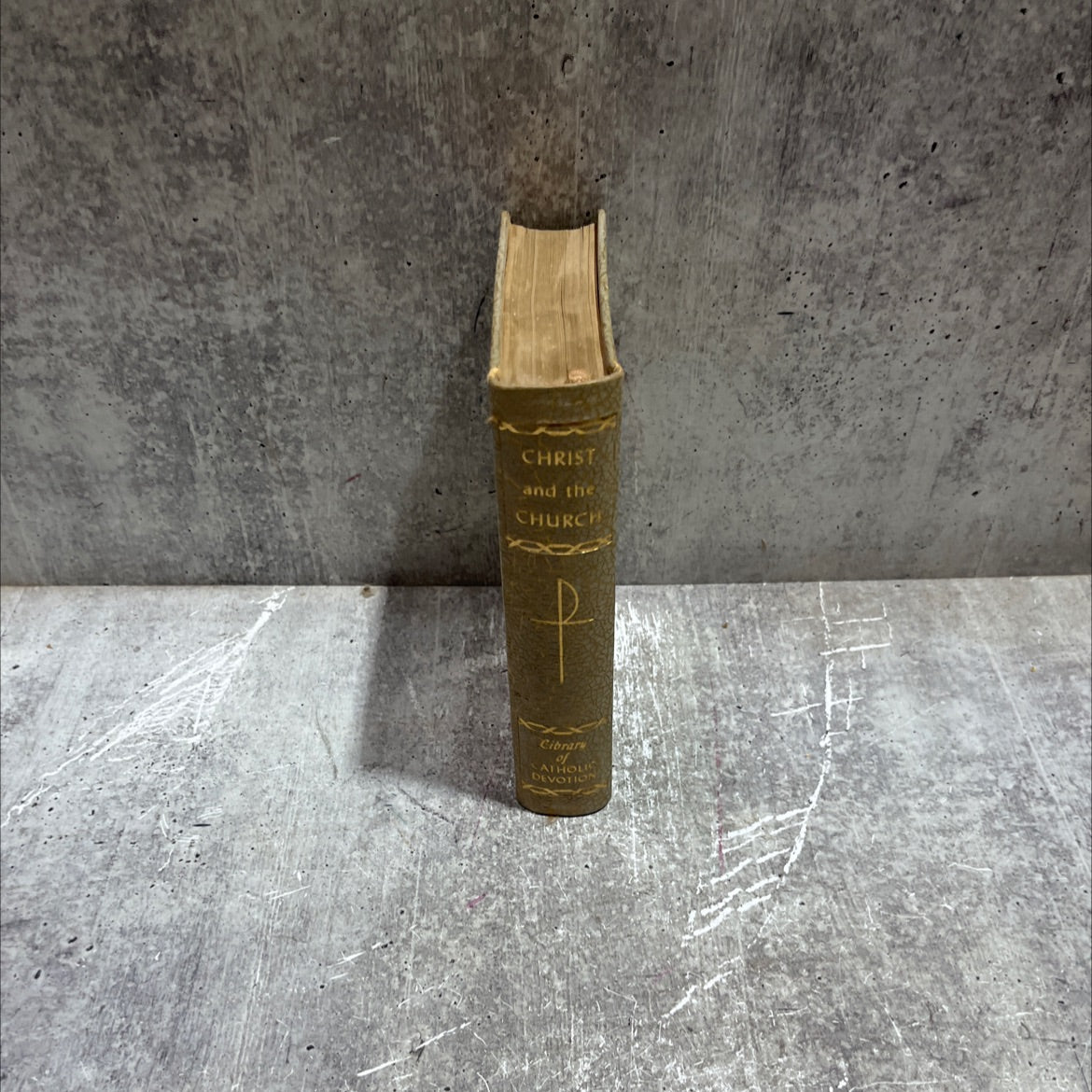 christ and the church book, by mary perkins ryan, 1960 Hardcover image 4