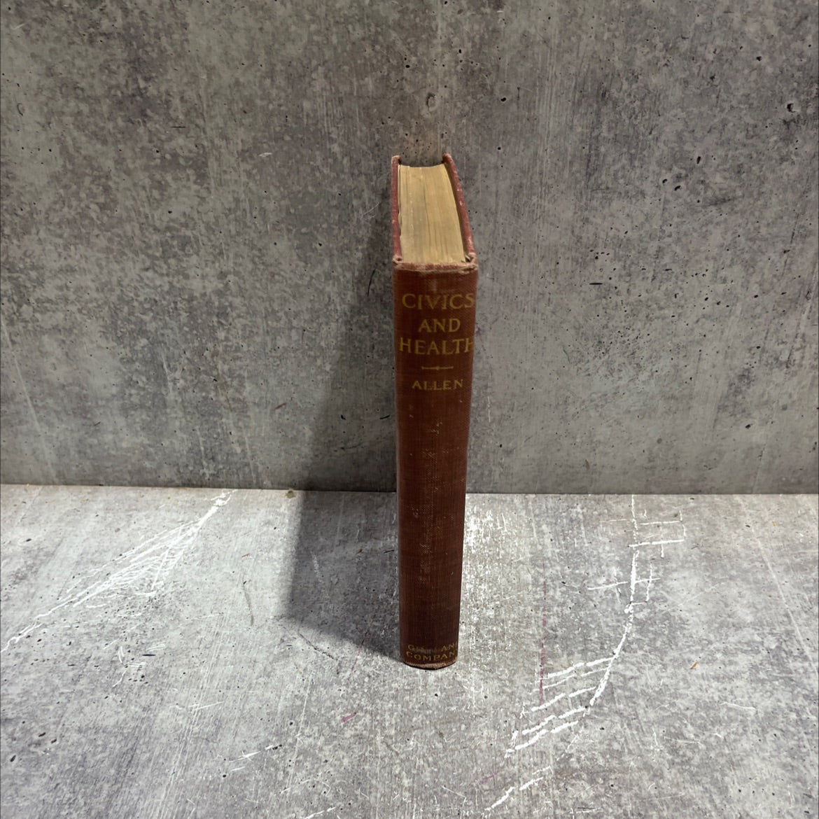 civics and health book, by william h. allen, 1909 Hardcover image 4