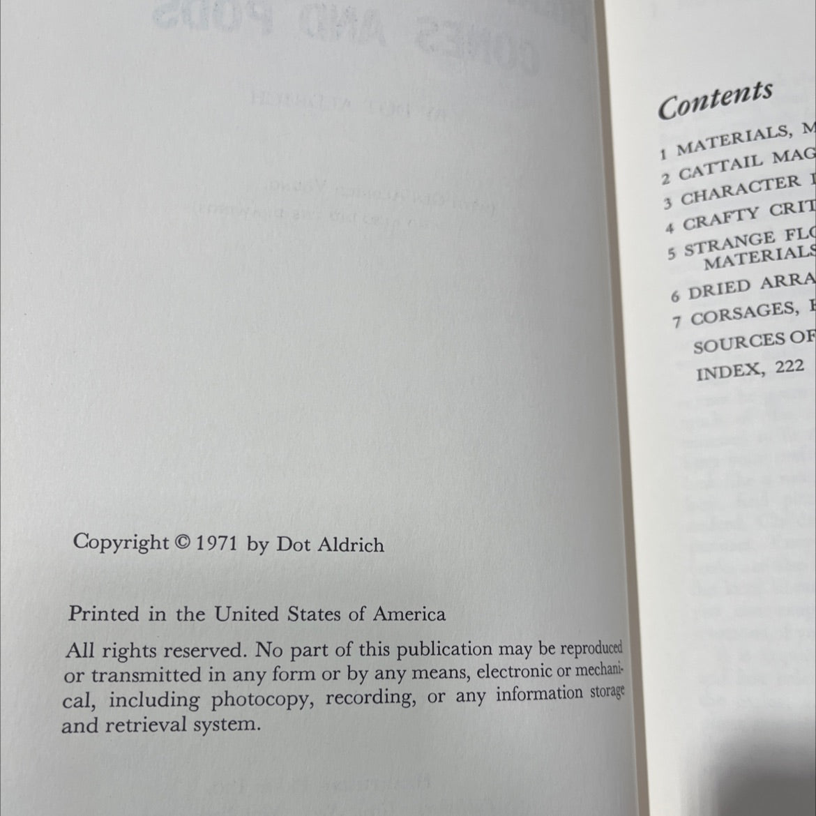 creating with cattails, cones and pods book, by Dot Aldrich, 2009 Hardcover image 3