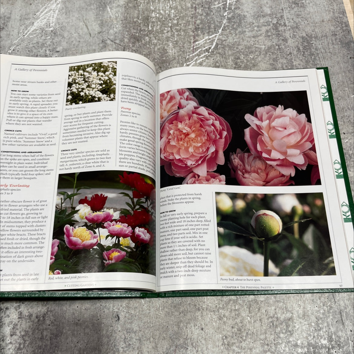 cutting gardens book, by barbara sant, 2004 Hardcover image 4