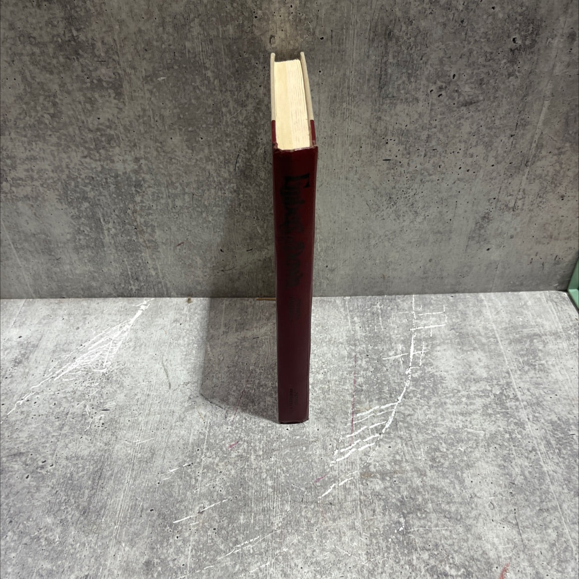 embers of the joy on age dawn book, by Patricia Matthews, 1982 Hardcover image 4