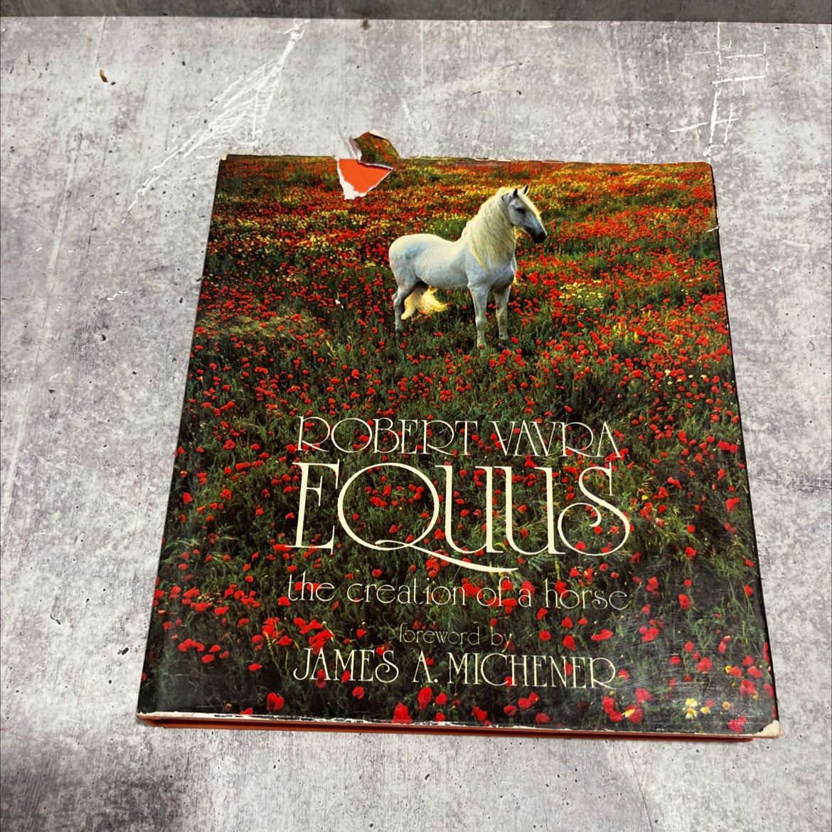 equus the creation of a horse book, by robert vavra, 1977 Hardcover image 1