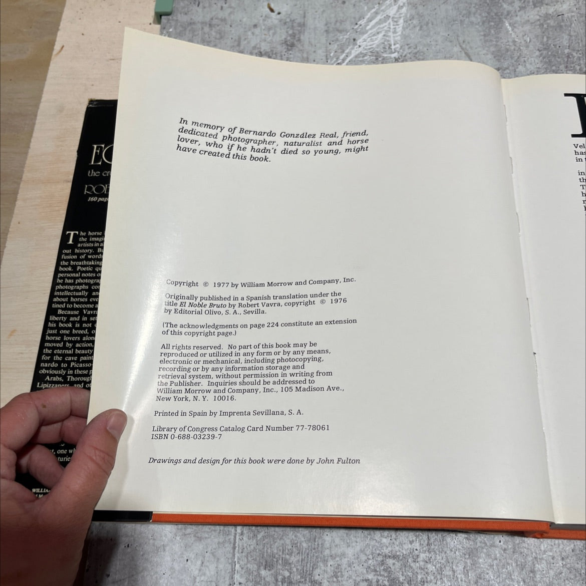 equus the creation of a horse book, by robert vavra, 1977 Hardcover image 3