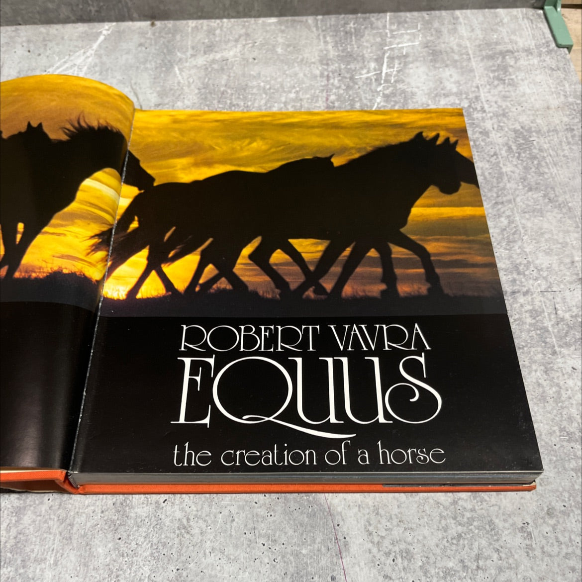 equus the creation of a horse book, by robert vavra, 1977 Hardcover image 2