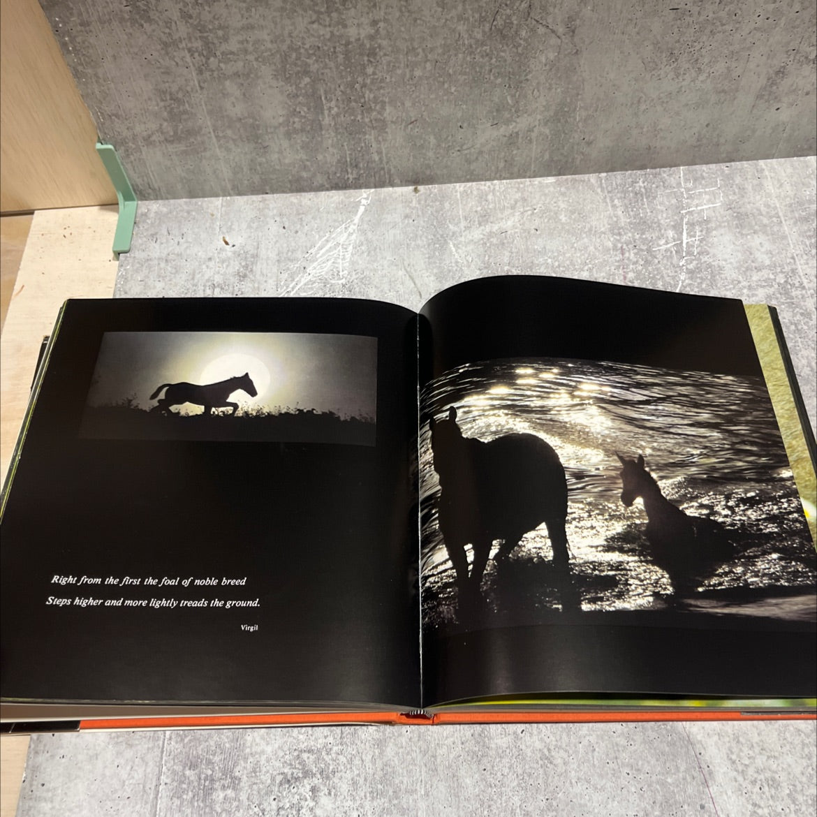 equus the creation of a horse book, by robert vavra, 1977 Hardcover image 4