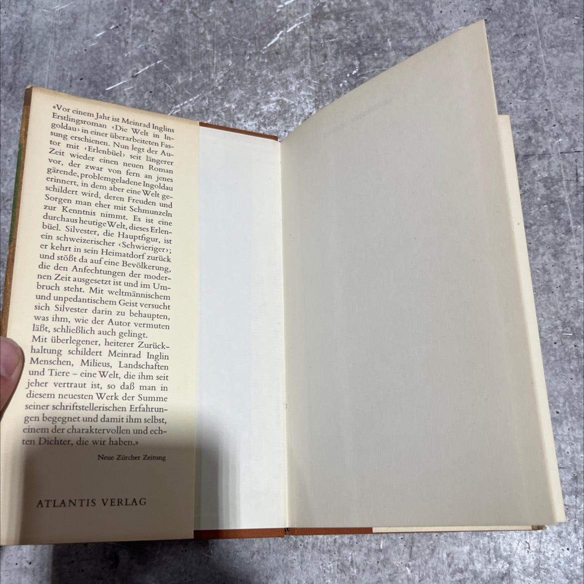 erlenbüel book, by meinrad inglin, 1965 Hardcover image 4