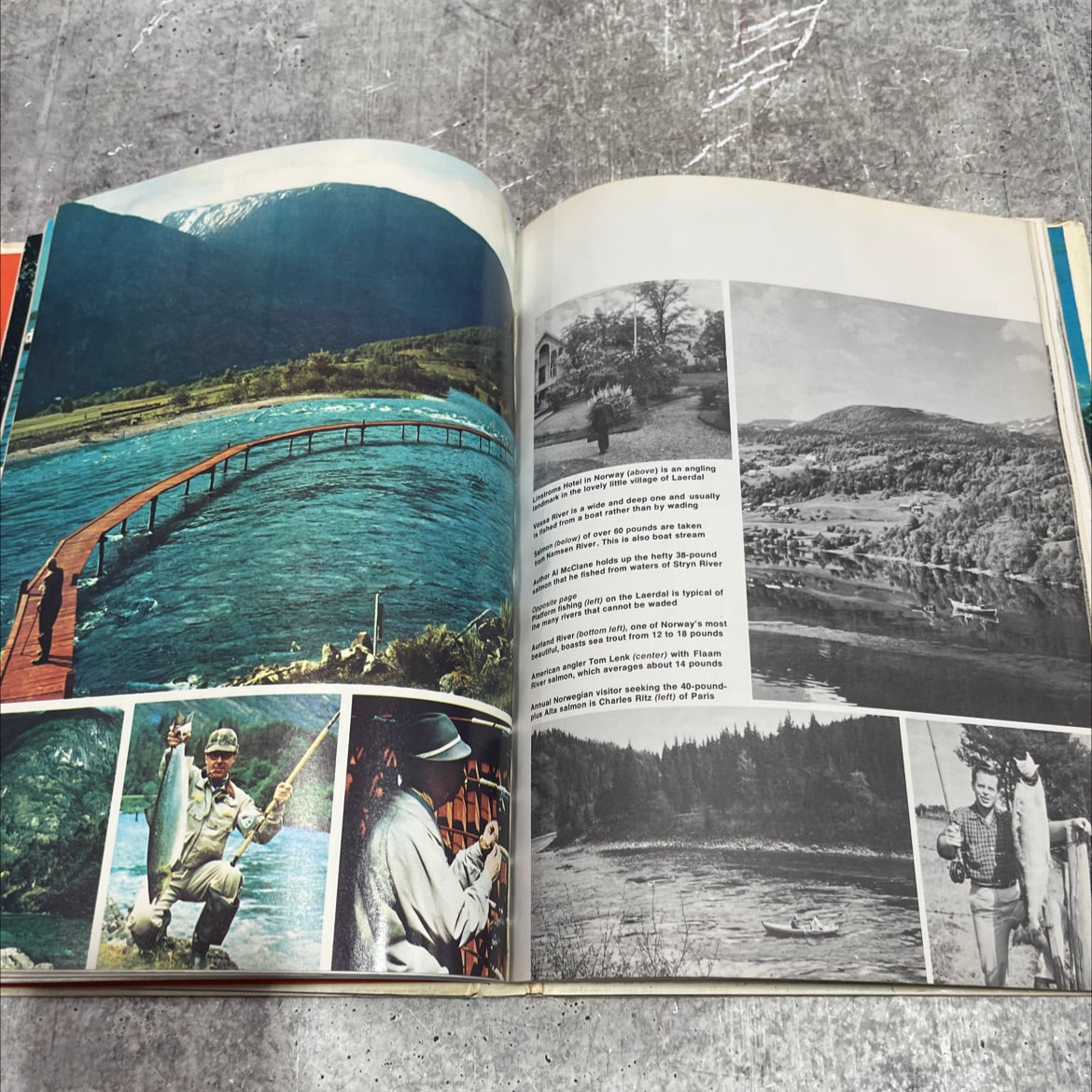 field & stream international fishing guide book, by A.J. McClane, 1971 Hardcover image 4