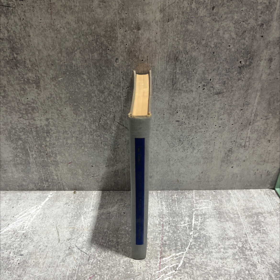 fong and the indians book, by paul theroux, 1968 Hardcover image 4