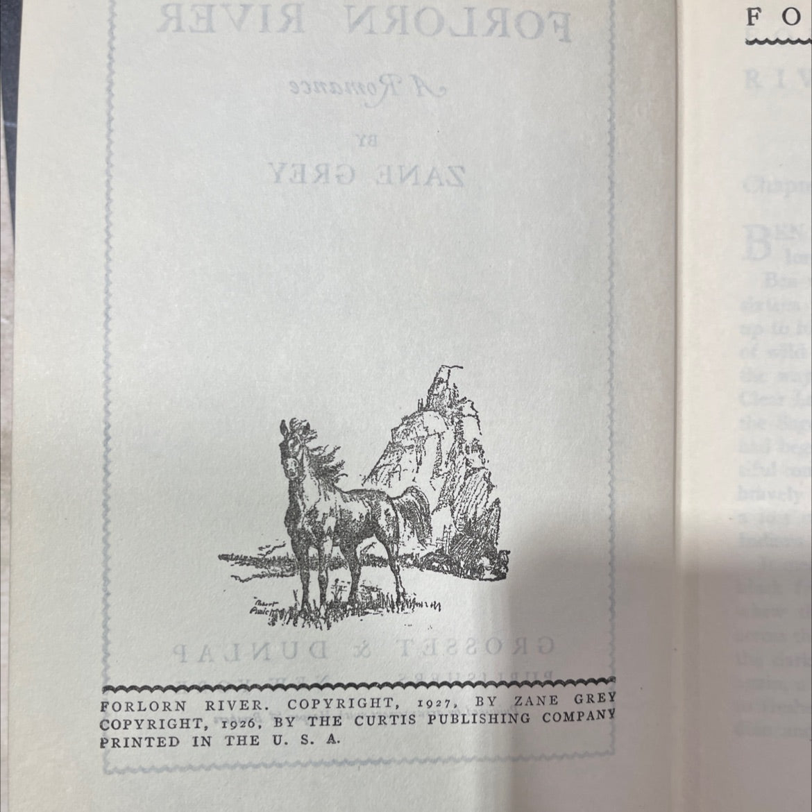 forlorn river a romance book, by zane grey, 1927 Hardcover, Antique image 3