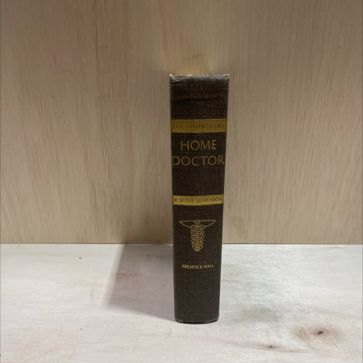 frontal temporal malar mandible clavicle or collar bone sternum or breast bone humerus twelfth rib radius ulna sacrum image 4