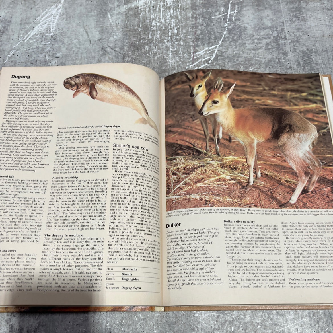 funk & wildlife wagnalls encyclopedia book, by dr. maurice burton and robert burton, 1974 Hardcover image 4