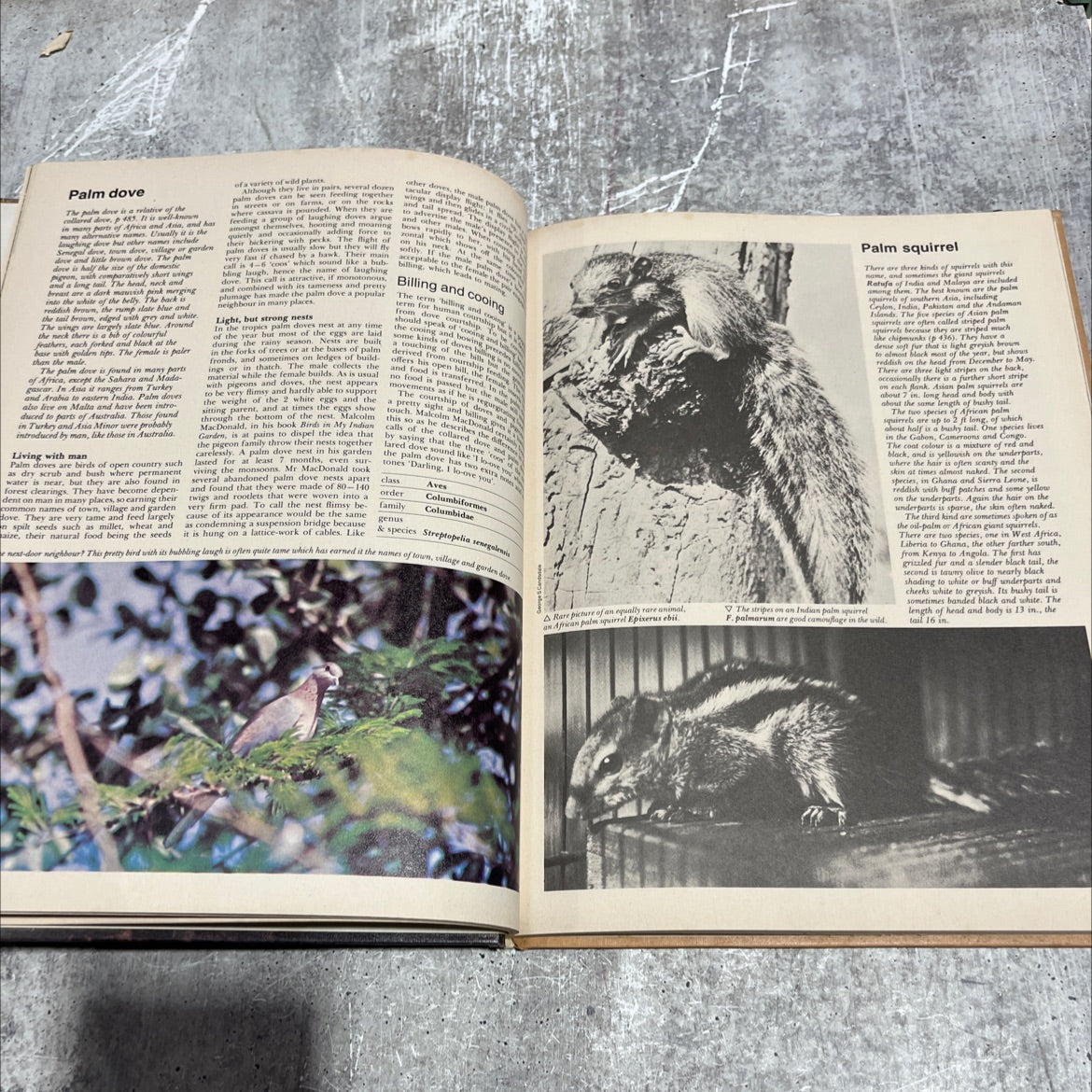 funk&wagnalls wildlife encyclopedia book, by Dr. Maurice Burton and Robert Burton, 1974 Hardcover image 4