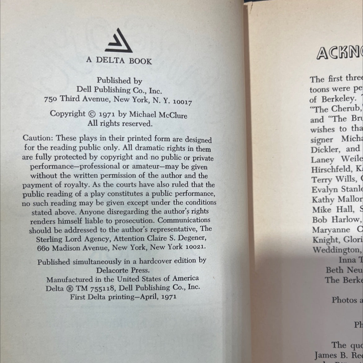 garbomer car le toons or the charbroiled chinchilla book, by michael mcclure, 1971 Paperback image 3