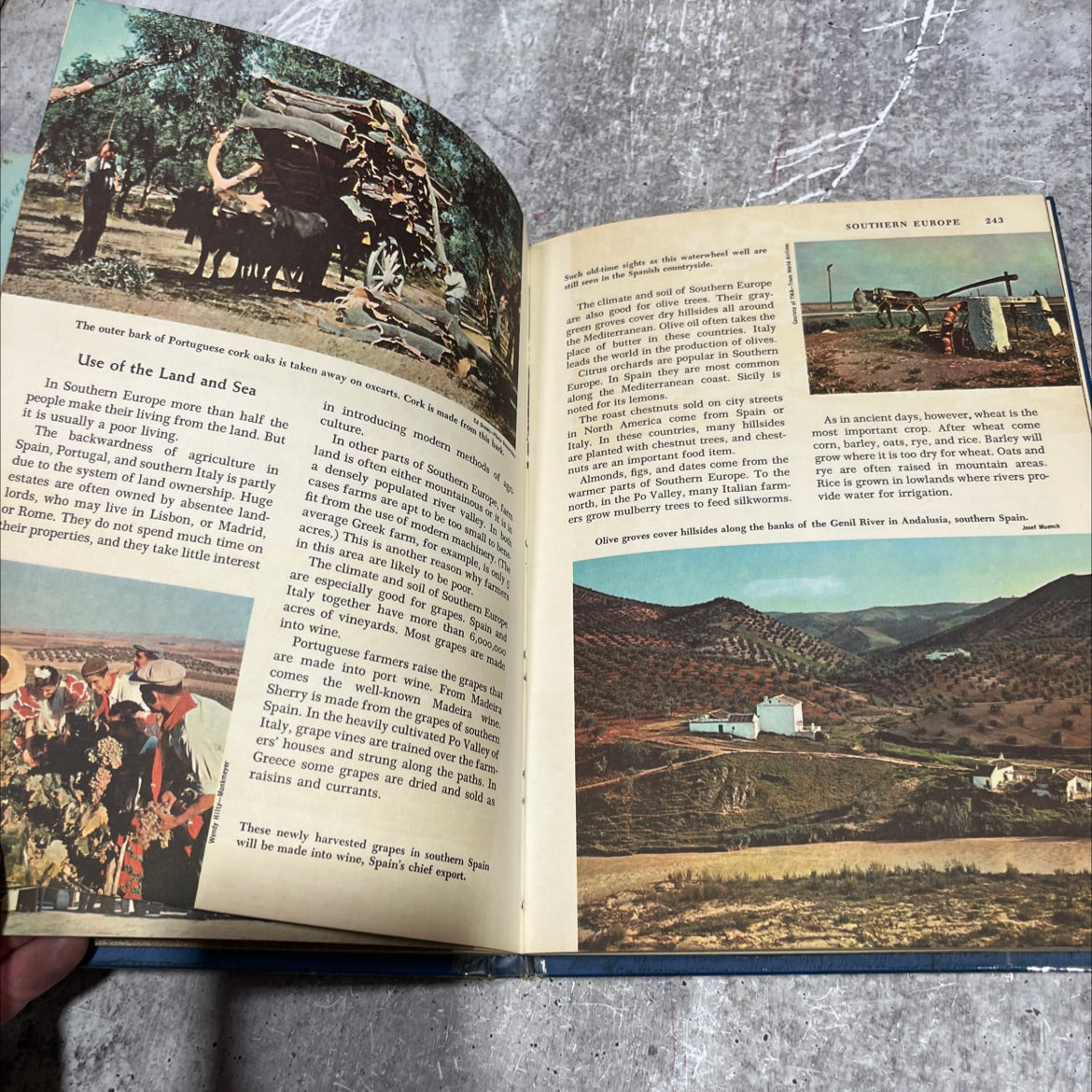 golden book picture atlas of the world in six volumes book, by henry hill collins, jr., 1960 Hardcover image 4