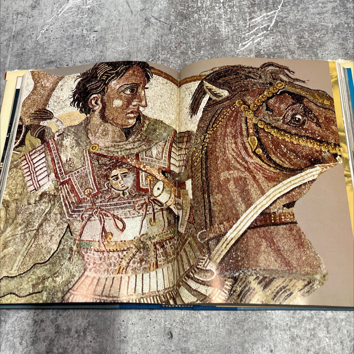 greece and rome builders of our world book, by emily vermeule, ernl bradford, leonard cottrell, tom allen, john putman, image 4