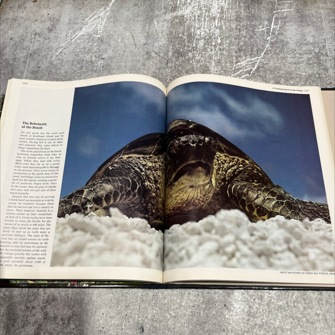 hawaii the american wilderness book, by robert wallace, 1977 Hardcover image 4