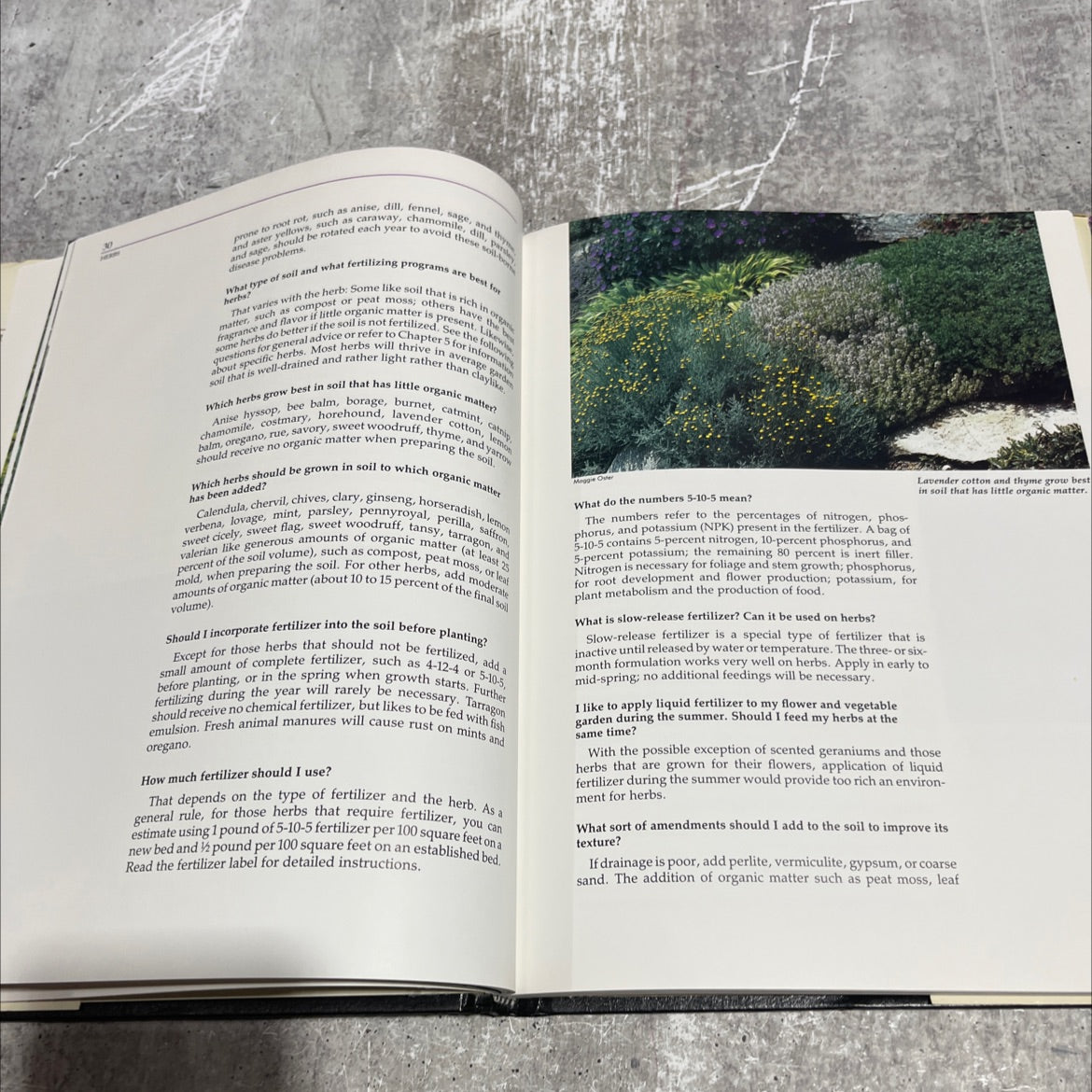 herbs 1001 gardening questions answered book, by Ann Reilly and the Editors of Garden Way Publishing, 1990 Hardcover image 4