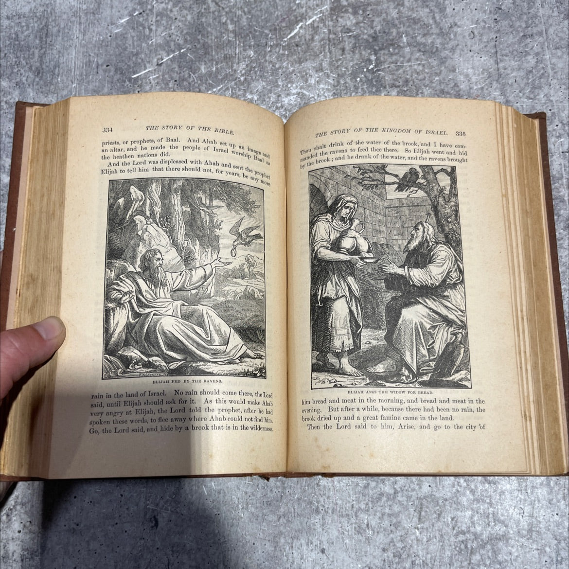 holy bible: daniel in the lions' den book, by charles foster, unknown Hardcover image 4