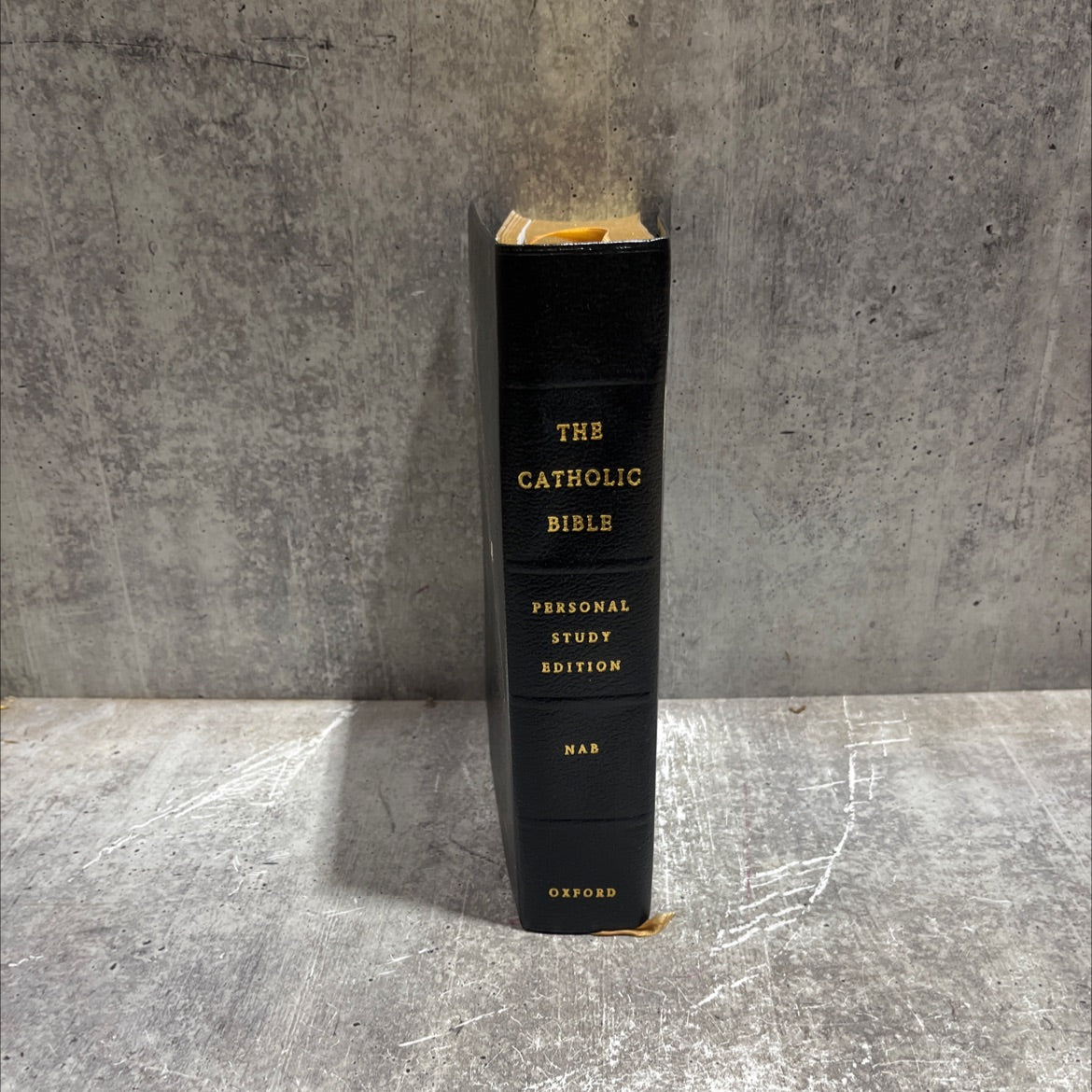 holy bible personal study edition book, by grace proziva rajon, jean marie hiesberger, 1995 Leather image 4