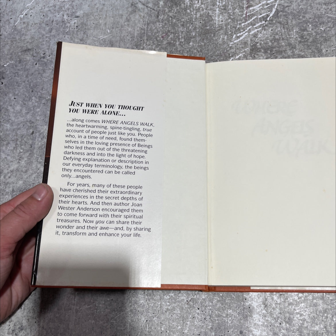 hour angels walk true stories of heavenly visitors book, by joan wester anderson, 1992 Hardcover image 4