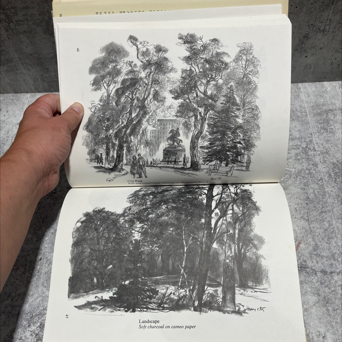 how to draw trees book, by Henry C. Pitz, 1972 Hardcover image 4