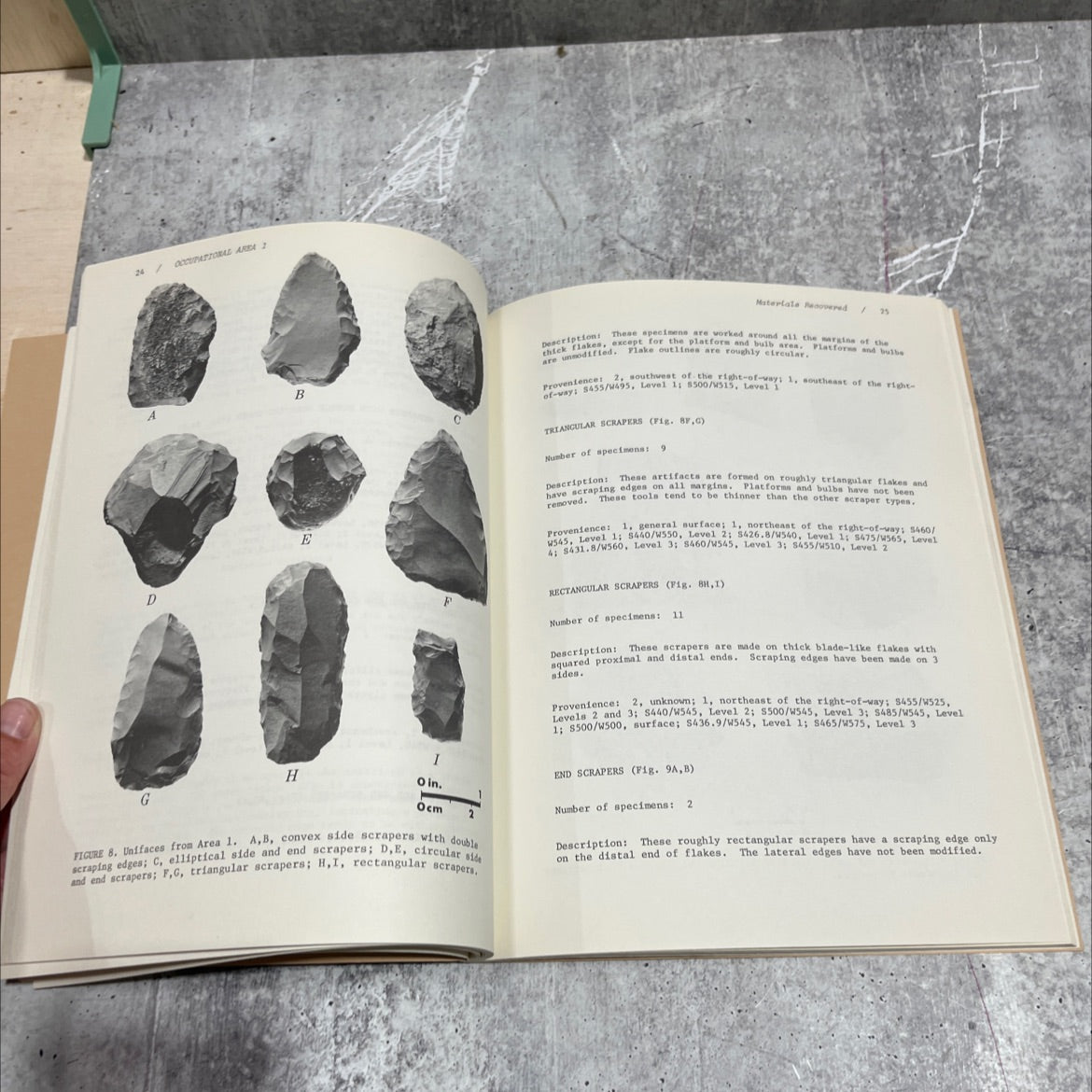 investigations at the squawteat peak site pecos county, texas book, by Wayne C. Young, 1981 Paperback image 4
