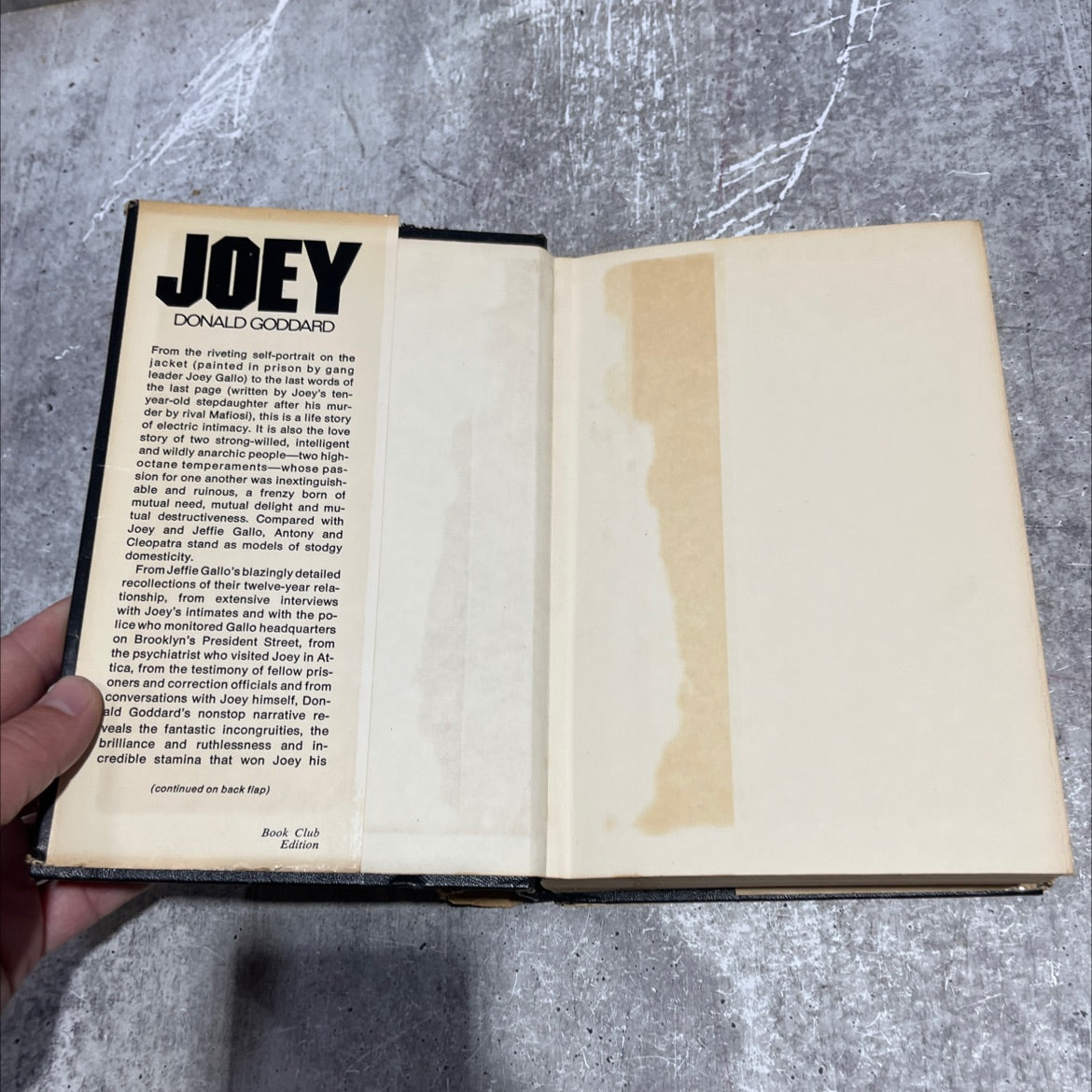 joey book, by donald goddard, 1974 Hardcover image 4