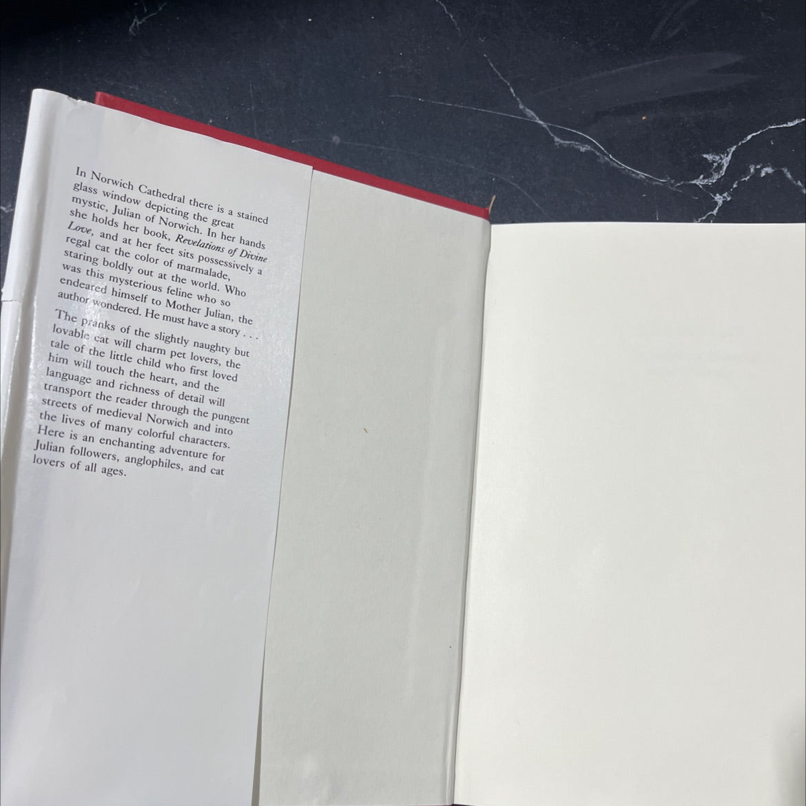 julian's cat the imaginary history of a cat of destiny book, by Mary E. Little, 1989 Hardcover image 4