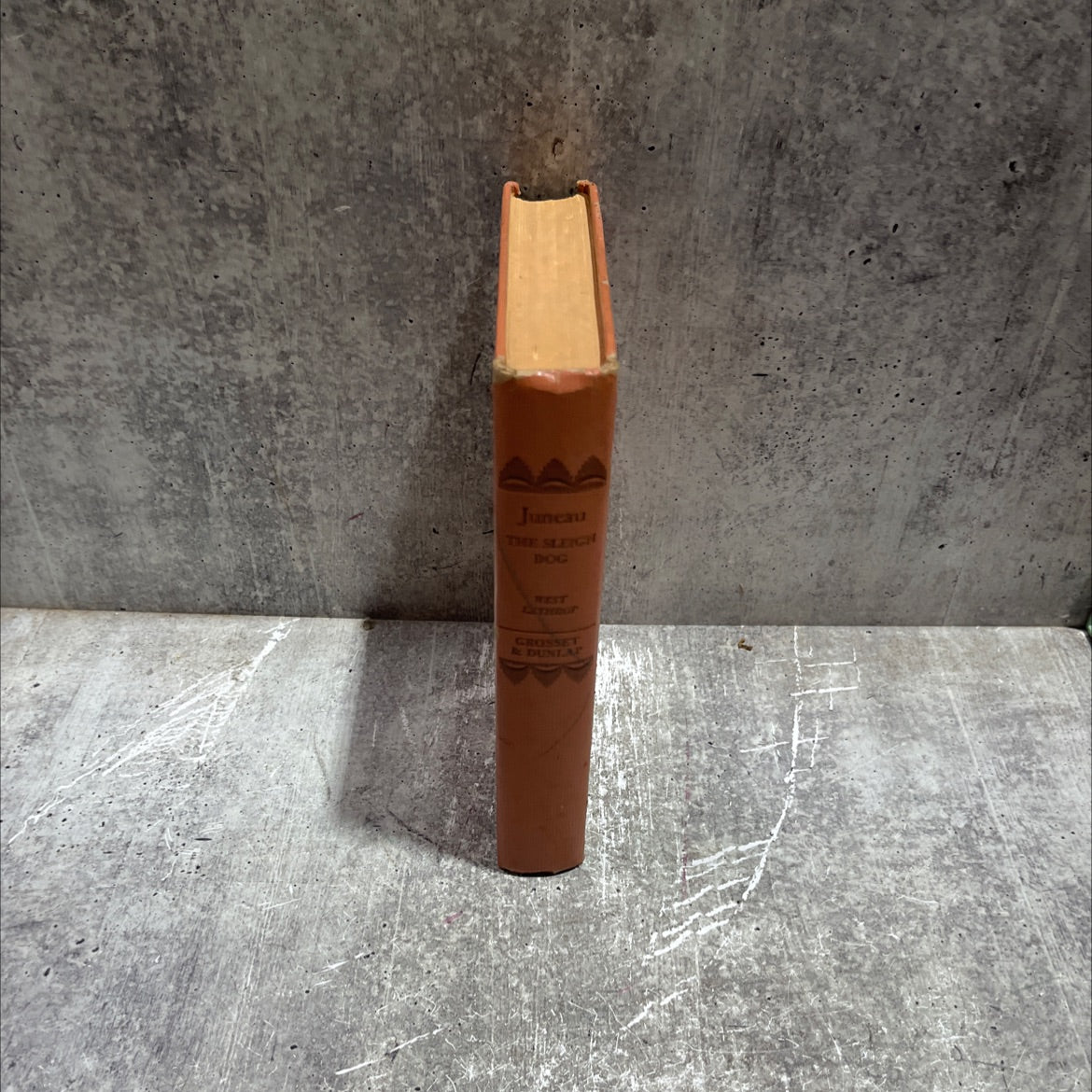 juneau the sleigh dog book, by west lathrop, 1942 Hardcover image 4